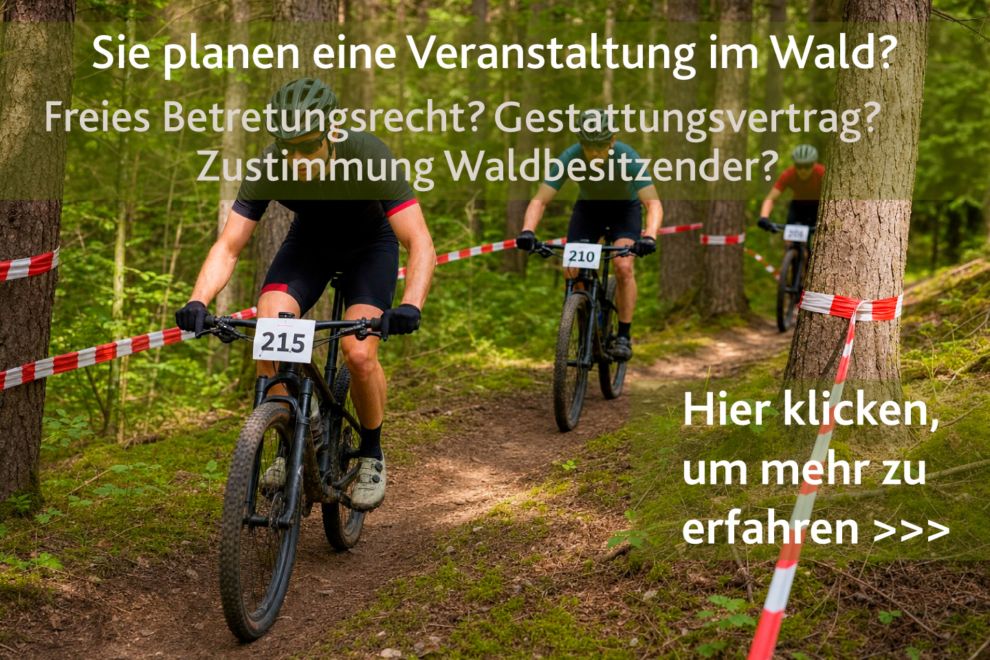 3 Mountainbiker fahren auf einem Waldweg, bei einem Mountainbike-Event. Bild bitte anklicken, um das Modul zu starten.