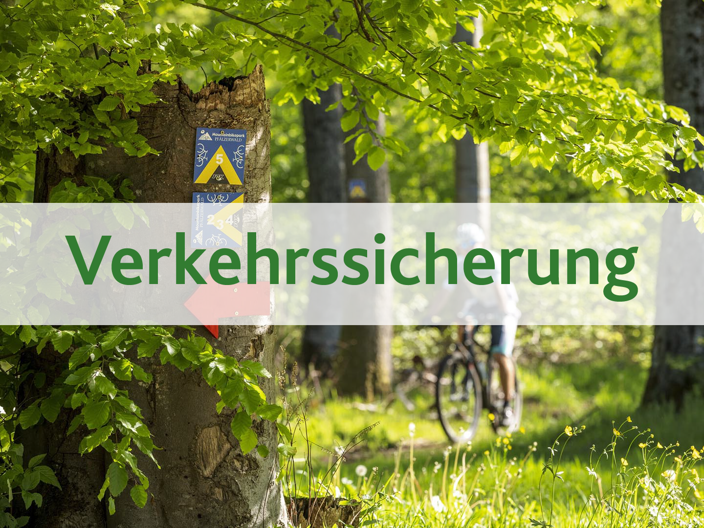 Hier klicken, um zum Kurs zu gelangen.