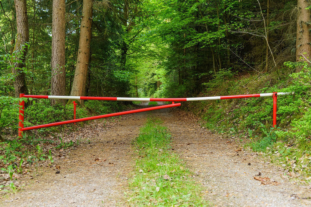 Schranke im Wald