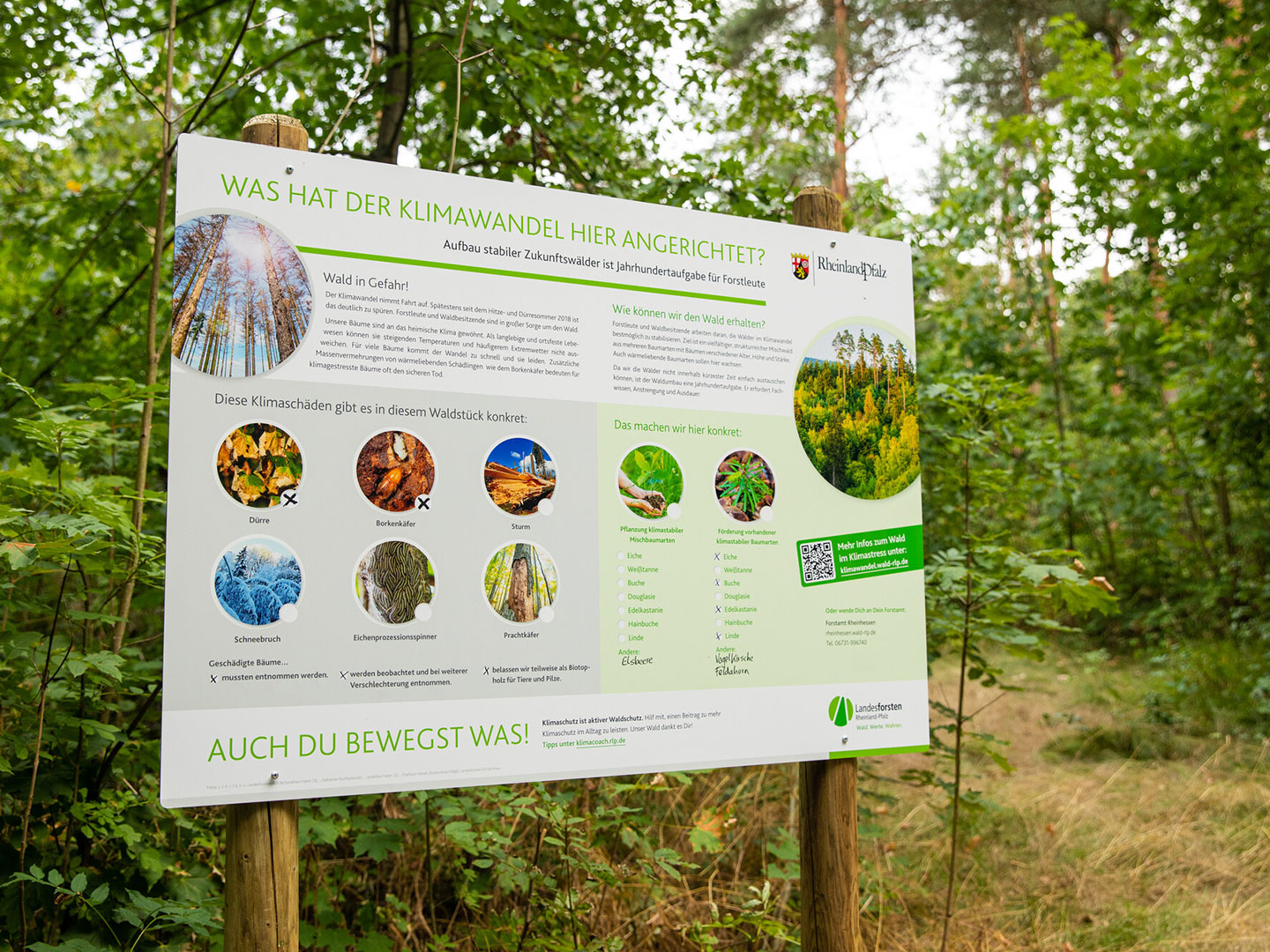 große Infotafel zum Thema Klimawandel, die mitten im Wald steht.