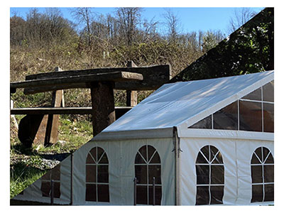Windwurf über Waldweg