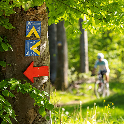 Wegweiser im Wald
