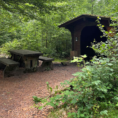 Schutzhütte im Wald mit Bänken davor