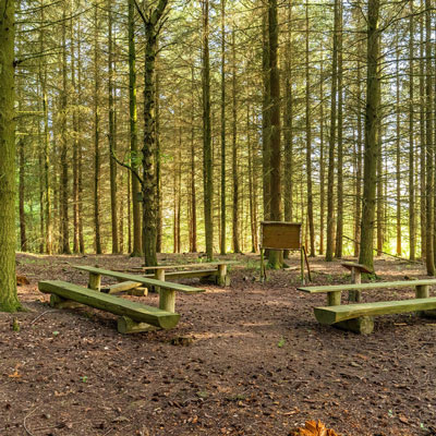 Bänke und Tafel stehen im Kreis im Wald